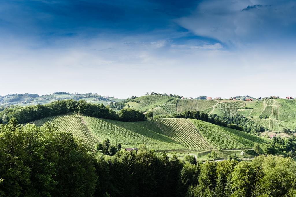 Weingut- Gaestezimmer Marko Leutschach Bagian luar foto