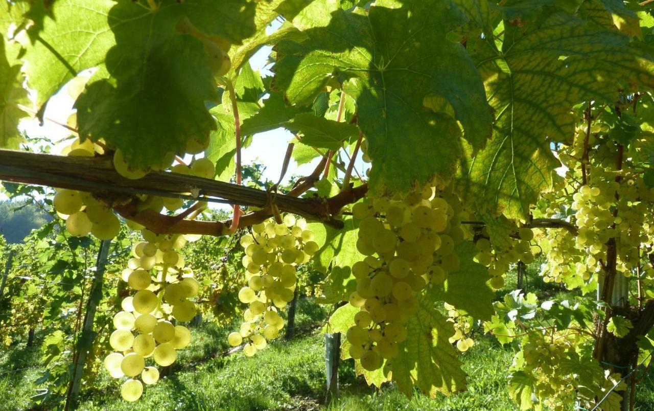 Weingut- Gaestezimmer Marko Leutschach Bagian luar foto